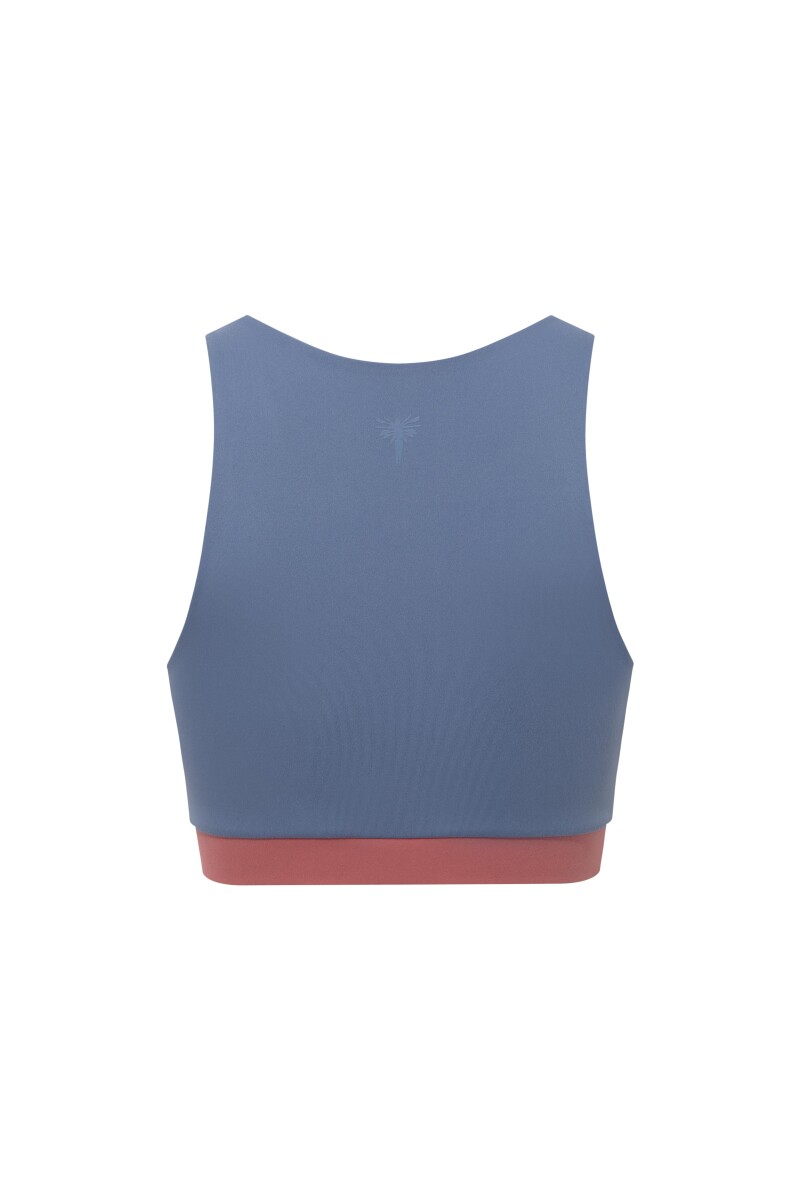 SAMMY - COLOR BLOCK SPORTS BRA - (1)